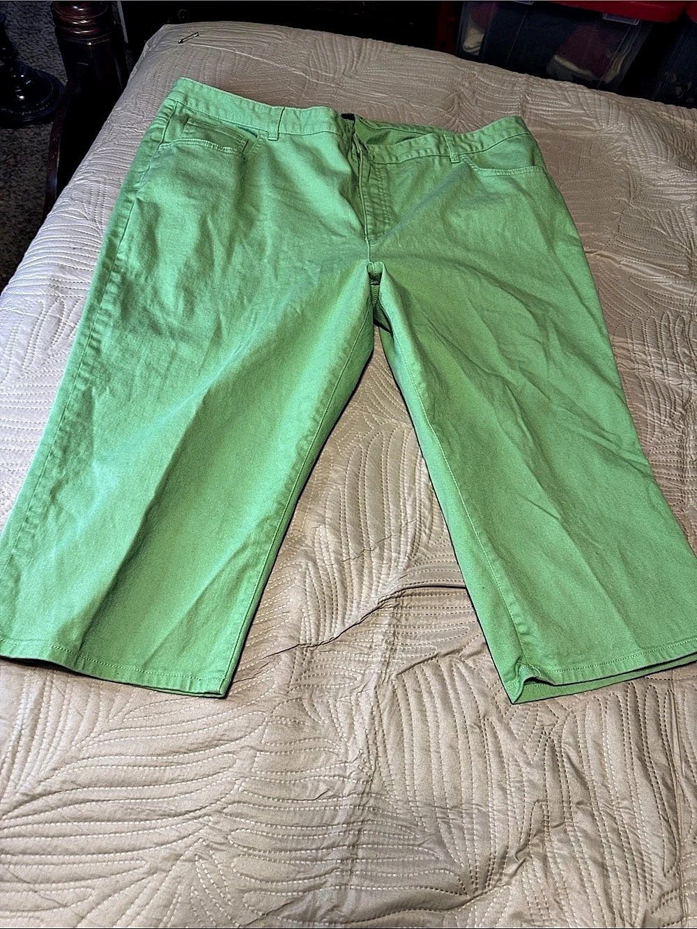 Gap Women's Green Cotton Capri Pants Size 24W